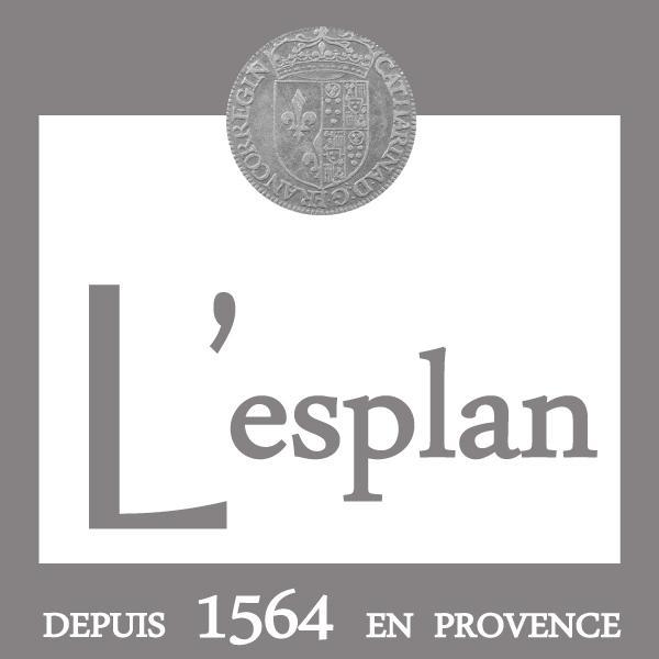 L'Esplan Hotel Saint-Paul-Trois-Chateaux Luaran gambar